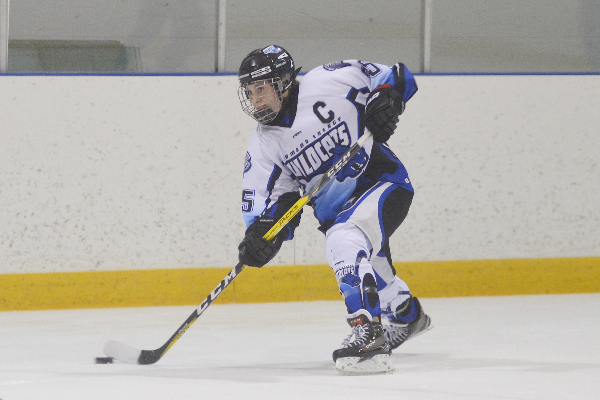 Wildcats skating south of the border | The Southwest Booster - Vimarsana News