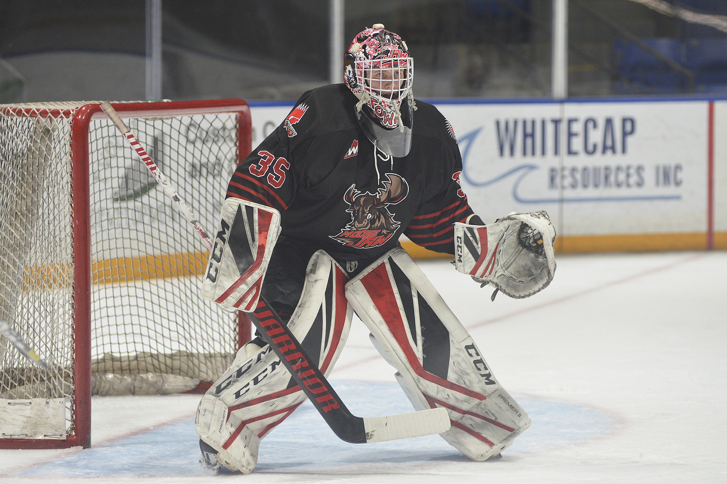 Coward seizes opportunity in the crease | The Southwest Booster - Vimarsana News